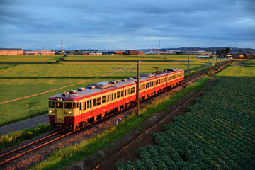 越後線115系電車