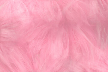 Pink tulle backdrop