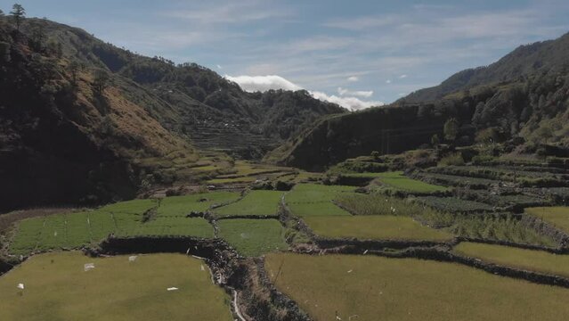 Terrace fields farms vegetable paddy approaching mountainous revealing valley fast aerial reversing wide angle reveal in kabayan benguet philippines
