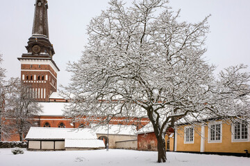 Vasteras Cathedral and big snow covered tree in old town in cold winter overcast day, Sweden. White winter in Scandinavia