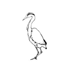Walking heron in black and white