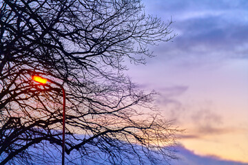 orange sunset in the sky