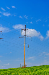 Fototapeta na wymiar High voltage power lines. Green grass, blue sky background. High voltage power tower.