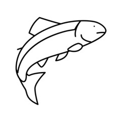 salmon fish line icon vector illustration