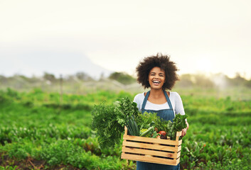 Mother nature provides. Cropped portrait of an attractive young female farmer carrying a crate of...