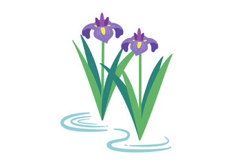 菖蒲のイラスト　端午の節句　こどもの日／線画なし