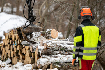 Hard work in forestry in winter. Lumberjack and tractor with timber tongs.