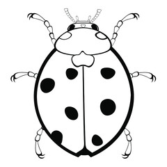 Black and white drawing of a ladybug for coloring. Insect for coloring book. Vector illustration