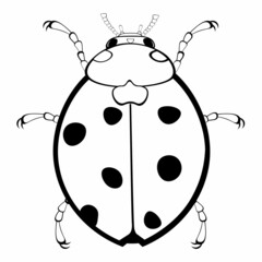 Black and white drawing of a ladybug for coloring. Insect for coloring book. Vector illustration