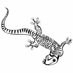 Black and white drawing of a lizard for coloring. Vector illustration