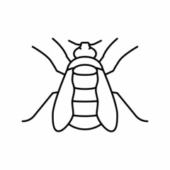 bumblebee insect line icon vector illustration