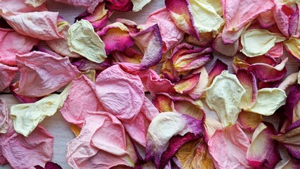 cabbage leaves, pink rose petals