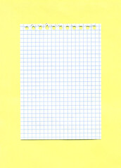 Checked paper sheet torn out of a spiral notebook isolated on yellow. Minimalistic mockup with copy space