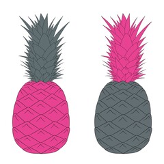 Pineapple illustration, unusual color, pink and black. The fruit. Juice