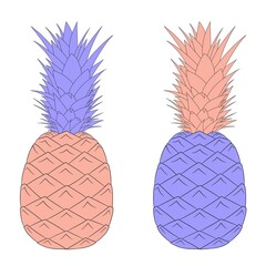 Pineapple illustration, unusual color, pink and lilac, purple. The fruit. Juice