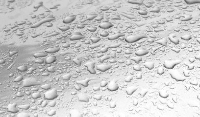 water drops on a white background