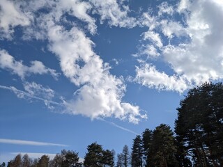 信州スカイパークから眺める冬の空