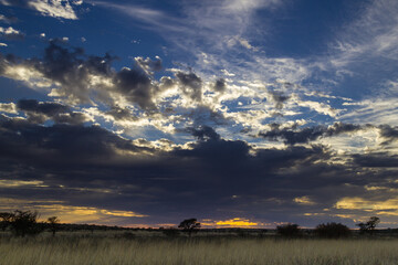 Obraz premium Kgalagdi Transfrontier National Park, South Africa: sunrise