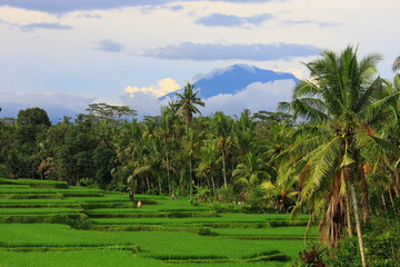 Obraz premium Volcano in Bali Indonesia