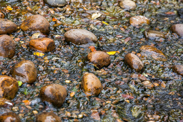 Stone in the flowing water