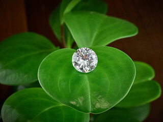 Ethical Lab-Grown Diamond on Green Leaf