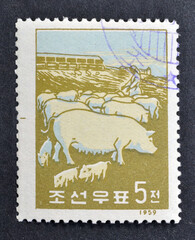 Cancelled postage stamp printed by North Korea, that shows Pig (Sus scrofa domestica), circa 1959.