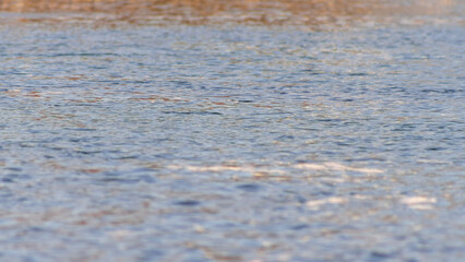 Conceptual cold blue abstract background water. Waves on water, reflection of ripples on the river. Blue water texture.