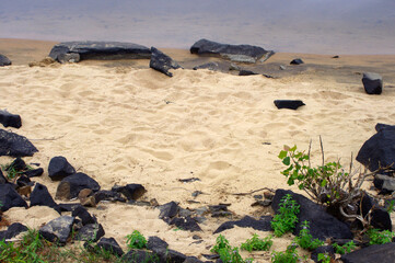 rocks on sandy beach in summer with copy space 
