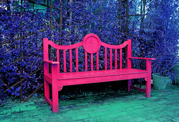 Pop art surreal style empty hot pink wooden bench with violet hedging shrub in background