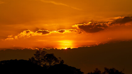 Sunset or evening time sky with clouds and tree. in dark tone.