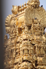 Obraz premium Hindu temple gopura near kanchipuram ,kanchi kamatchi amman