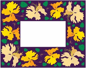 Beautiful Flower, Illustration Frame of Fresh Colorful Hibiscus Flowers, Rose Mallow or Bunga Raya Isolated on A White Background.
