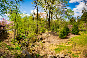 View of a Small Brook Running Thru Many Rocks and Boulders on a Sunny Spring Day With Trees Just Starting to Bloom