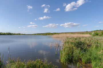 Fototapeta na wymiar Scenic view of pond against sky