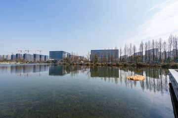 view of the city