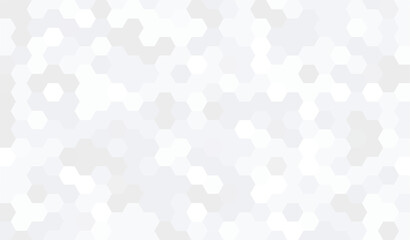 Abstract geometry hexagon white and gray background pattern. vector illustration.	