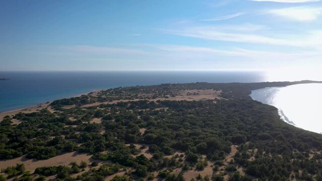 Juniperus on a land strip between Ionian Sea and Korission Lake, Corfu Island, Greece