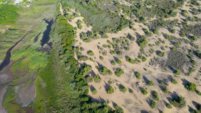 Junipers on over Korission Lake on the Ionian Sea coast on Corfu Island, Greece, 4k footage