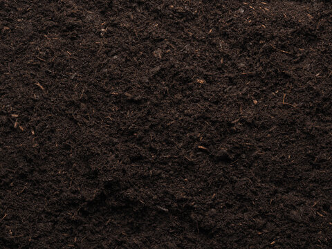 Texture of a planting bed or peat free potting soil, view from above, garden time or planting time concept background