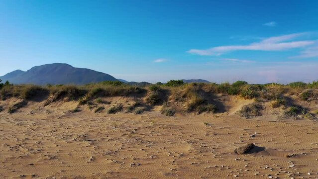 Junipers on a dunes of narrow strip of land between Korission Lake and Ionian Sea on Corfu Island, Greece, 4k footage