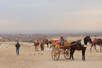 Egypt. Giza. Local Bedouins near the Egyptian pyramids.