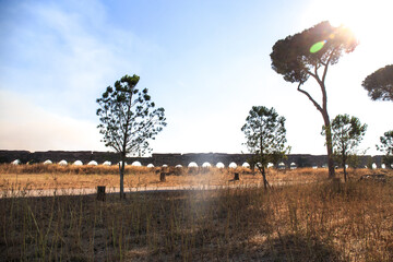 roman aqueducts