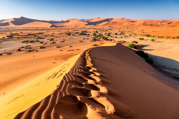 Fototapeta na wymiar Footprints of a morning hike on the dunes of Sossusvlei, Namibia