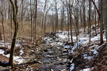 The flowing creek in the snowy forest on a sunny day.