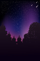 Fototapeta na wymiar Vector colorful illustration. Forest. Night. Beasts.