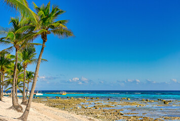 Beautiful beach of the Mexican Caribbean with coconut trees as guardians.