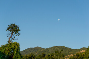 Moon over the forest