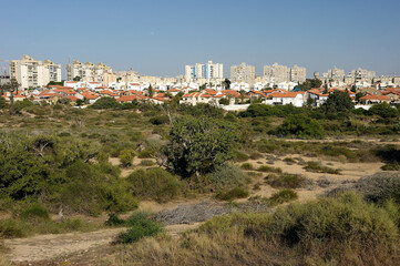 Fototapeta na wymiar Palm trees and the Mediterranean Sea, Park of Ashkelon in Israel