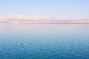 Fototapeta na wymiar The coast of the Dead Sea near Ein Gedi nature reserve in Israel