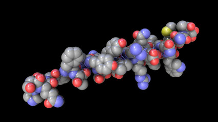 Molecule of the human hormone glucagon
